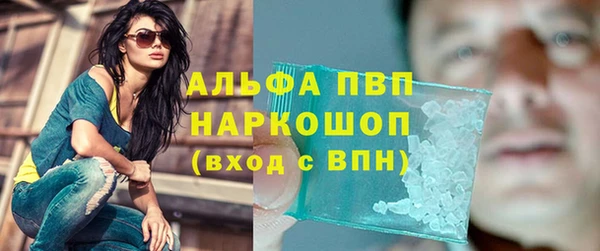 СК Бородино